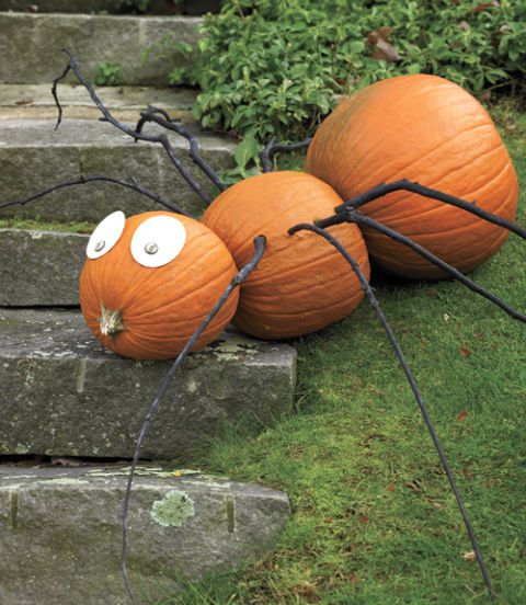 diy pumpkin spider