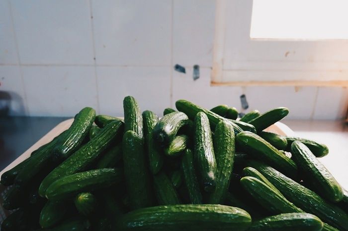 cucumber lot