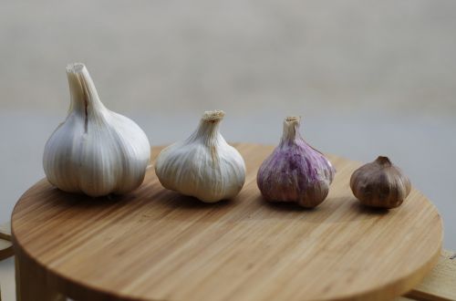 how to store garlic - gone bad