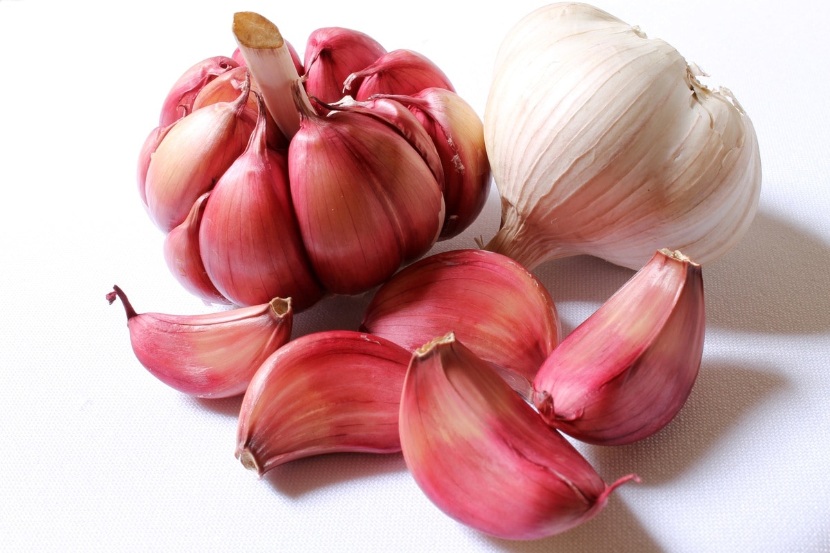 how to store garlic - health benefits